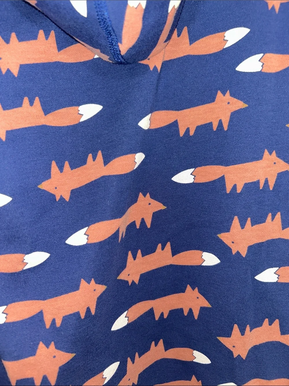 Hanna Andersson Navy Pullover Hoodie with Fox Pattern